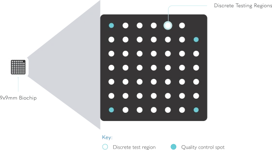 Biochip Array Technology explained